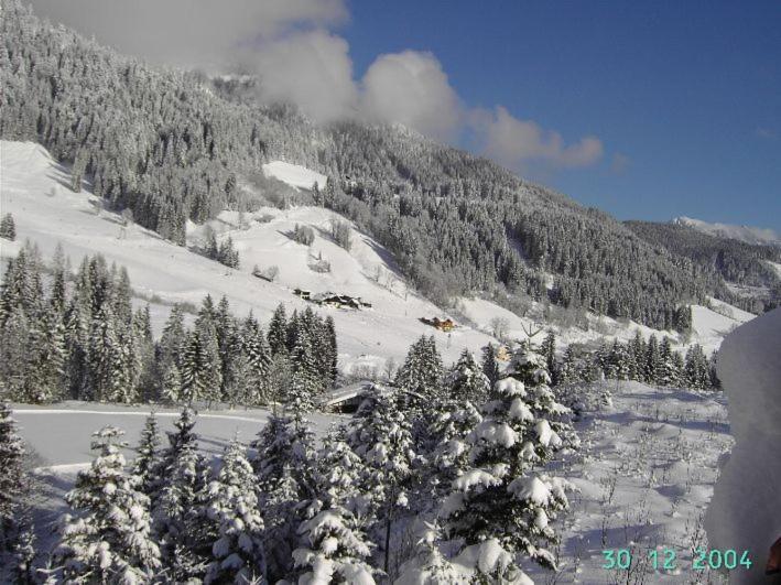 Ferienapartments Reusch Sankt Martin am Tennengebirge Εξωτερικό φωτογραφία